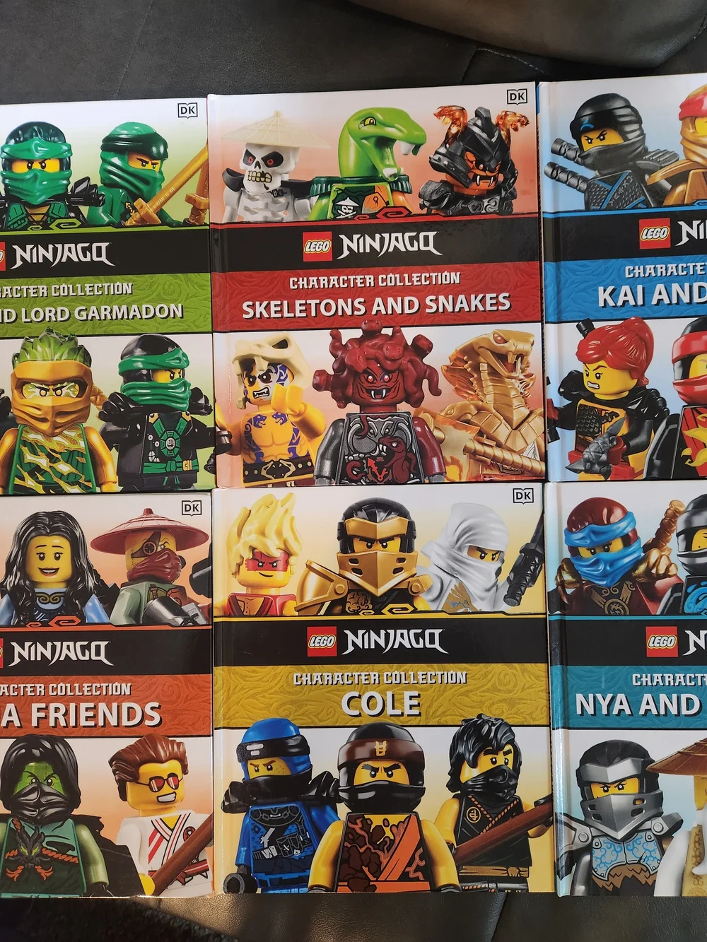 6 LEGO NINJAGO Character Collection - Multi-Color Book Set